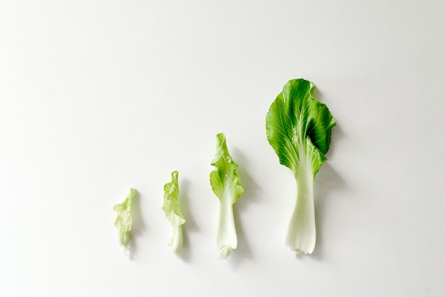 ácido y alcalino alimentación